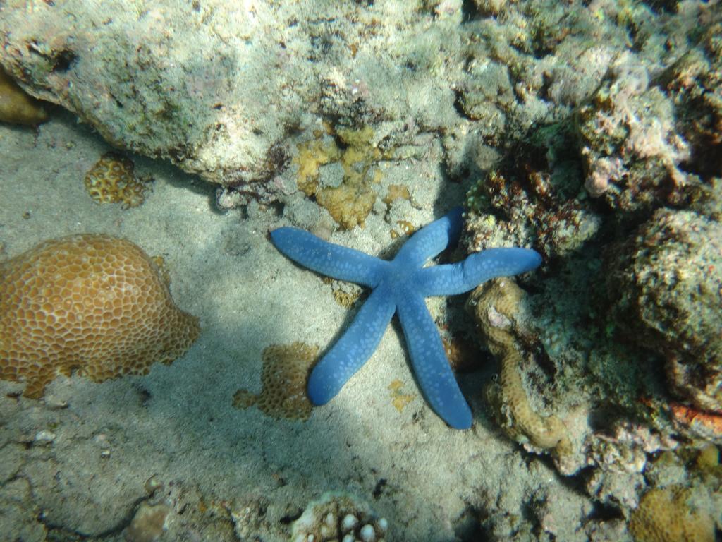 Kadumbul Wera Beach מראה חיצוני תמונה